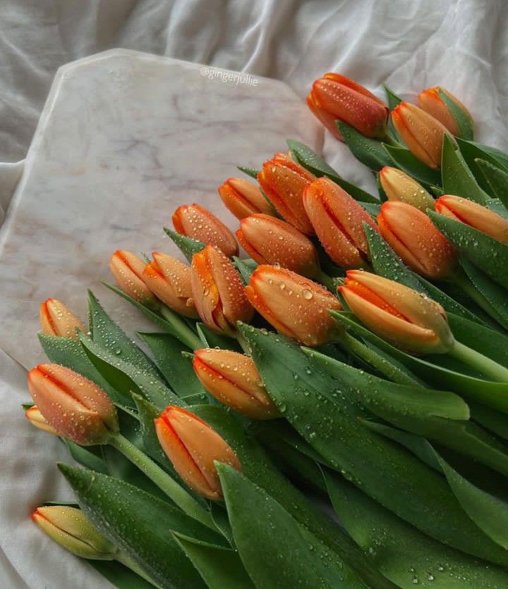 real natural flowers